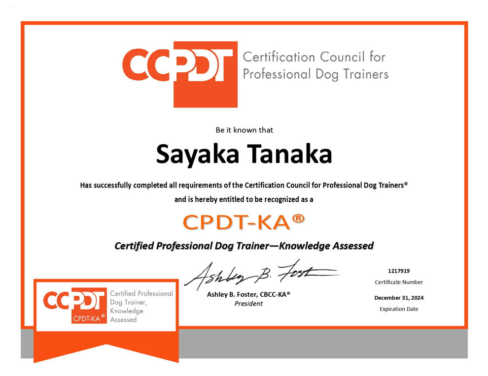 CPDT-KA資格証明書